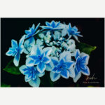 今日も猛烈な暑さになりそう